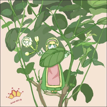 茉莉开花啦~❀❀❀❀
