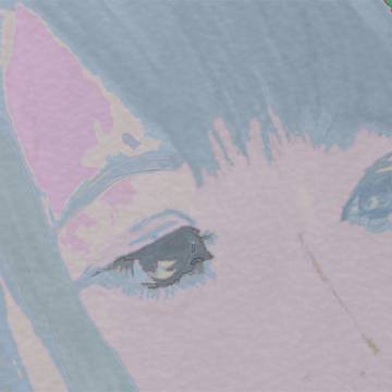 #5