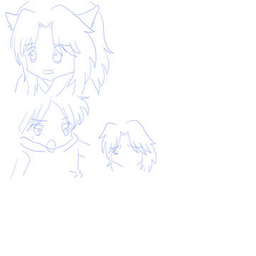 模写