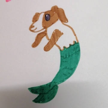 dog or fish