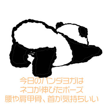 ぱんだヨガ