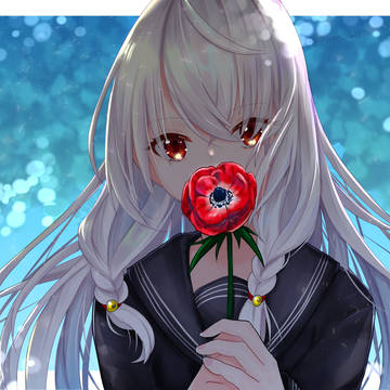 アネモネの花言葉