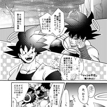 【腐】web再録とバダカカログ【DB】