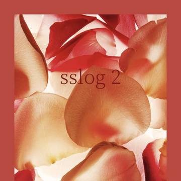 sslog 2【剣涼(♀)・衛昂】