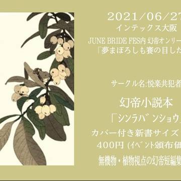 幻帝小説本新刊サンプル(20210627)