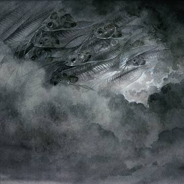 雲間をゆく群れ