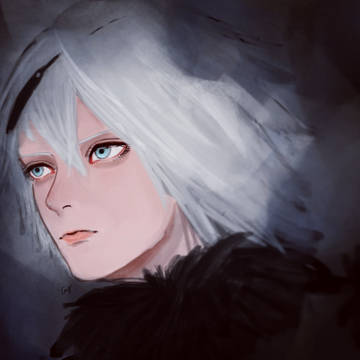 NieR