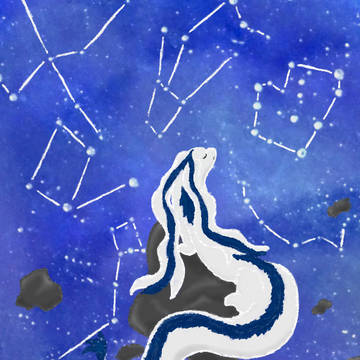 星座に想いを馳せて