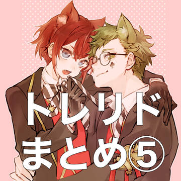 トレリドまとめ⑤