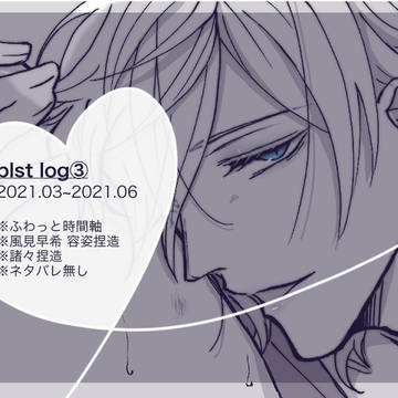 blst log③