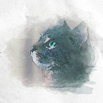 Water Color