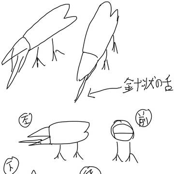 TORI 詳細図
