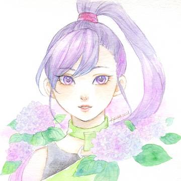 アジサイ