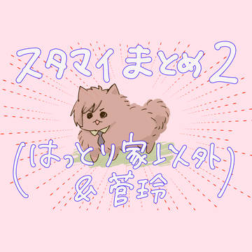スタマイまとめ2