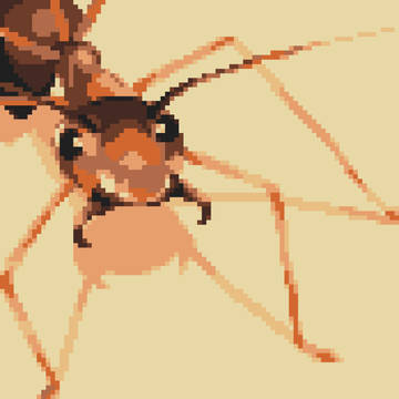 Ant!