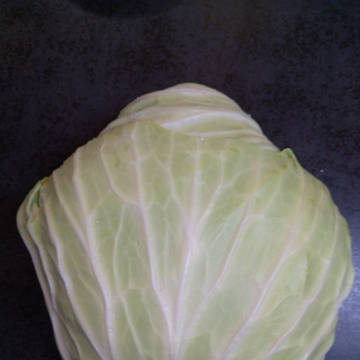 キャベツ(フリーアイコン(((