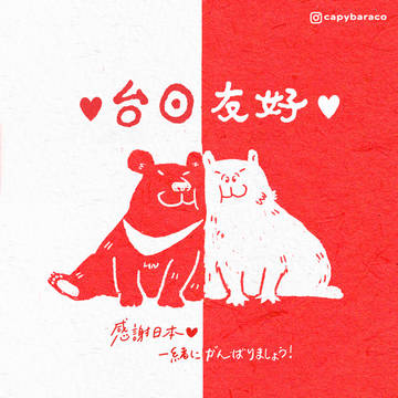 日台友好 水豚子x台灣黑熊好朋友!