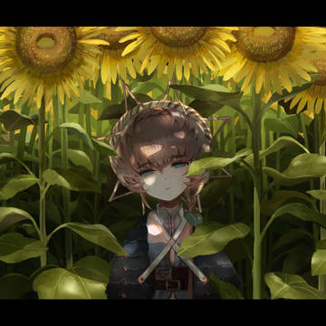 向日葵
