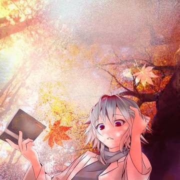 紅葉読書