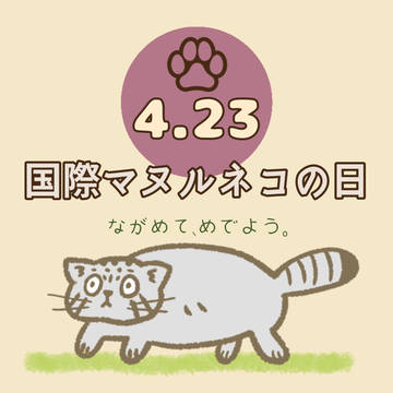 マヌルネコ2月～6月