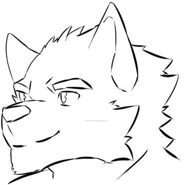 wolf