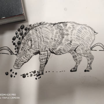 day14，15