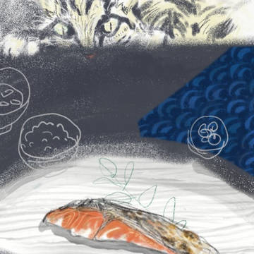 魚と猫🐟🐈