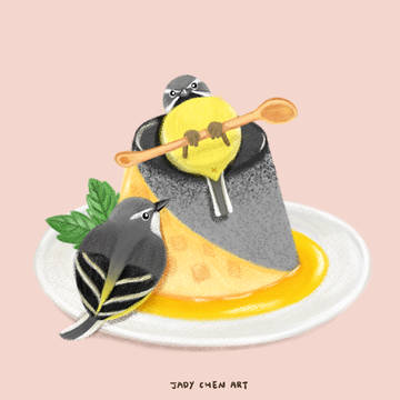 《美食 × 台灣野鳥》