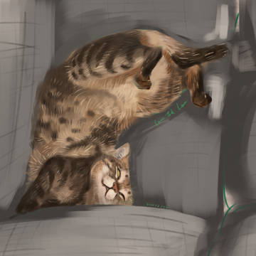 Practice _cat