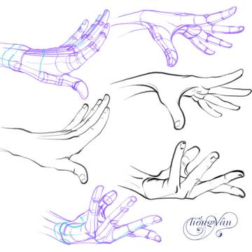 ✋
