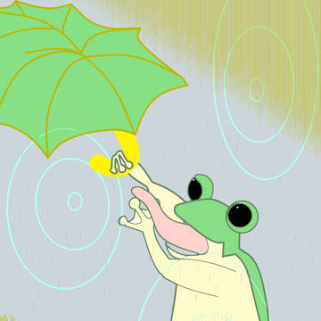 蛙の梅雨入り傘