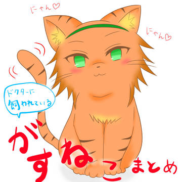 ドクターに飼われているがすねこまとめ