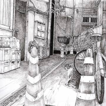 奥のネコ道