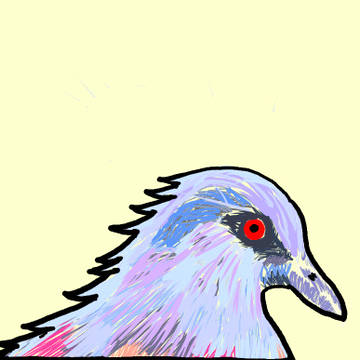 鳥