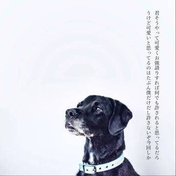 クラステSS4