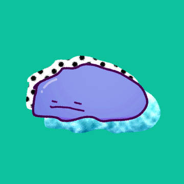 メタモンまとめ