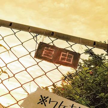 【じんほ新刊】7/11プルプラ