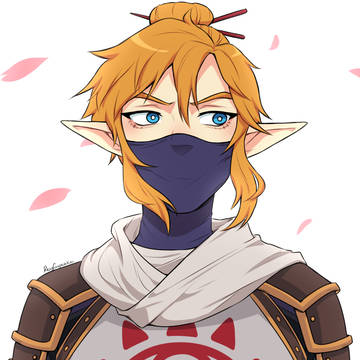 Link (Stealth Outfit)