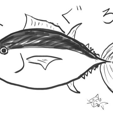 まぐろまとめ