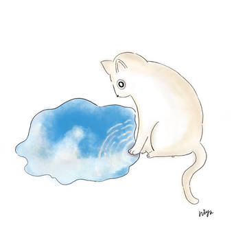 ねことみずたまり
