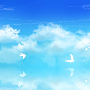 鳥の名前(風景のみ)