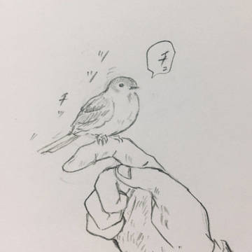 たんじろうと小鳥