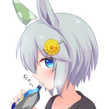 Coolishセイウンスカイ