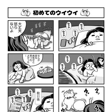 初めてのウイウイ