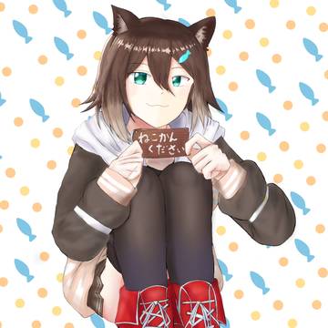 ねこかんください