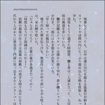 星空に酔う