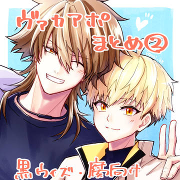 ヴァカアポまとめ2