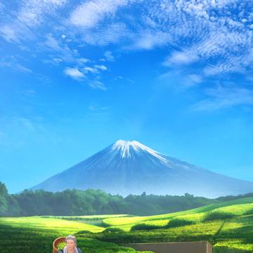 農家の夏