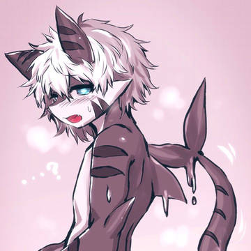 TF shark