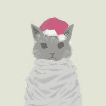 クリスマス猫withおくるみ